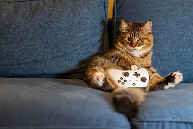 Guida all'acquisto: Miglior laptop gaming 2026