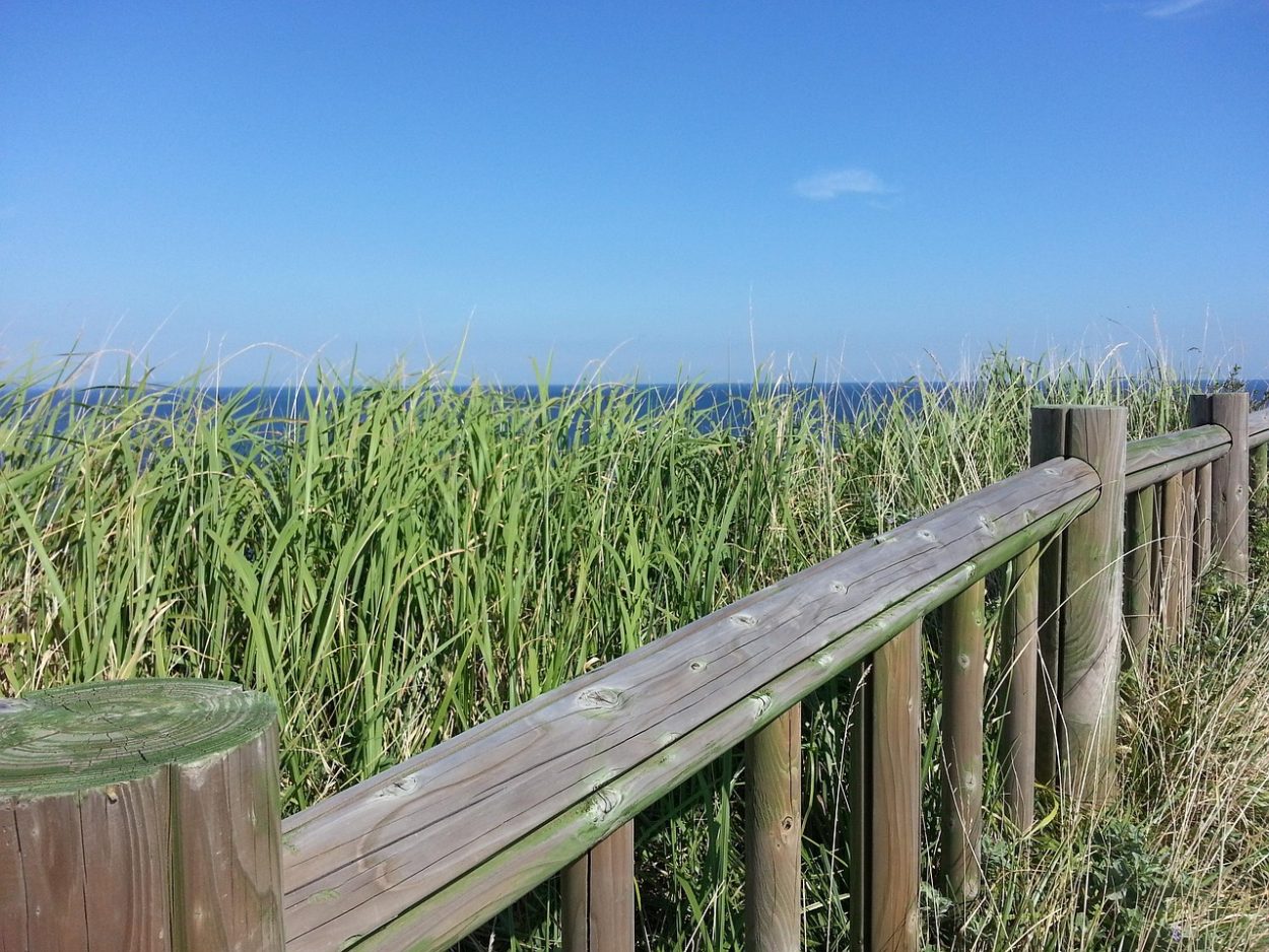 scopri il mondo dell'oled: tecnologia innovativa per immagini eccezionali, colori vibranti e un design sottile. esplora i vantaggi degli schermi oled per un'esperienza visiva senza pari.